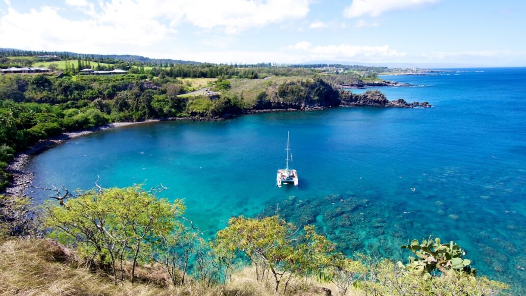 Landscape of Honolua Bay in Maui Hawaii