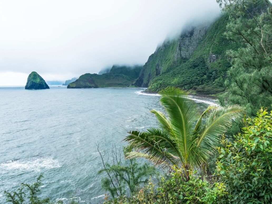 Usa,,Hawaii,,Molokai,,Kalaupapa,,Foggy,Coast