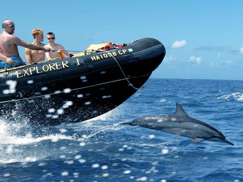 Na Pali Coast Explorer Ocean Rafting Snorkel Tour