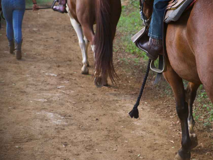 Child's cowboy boot in a horse's stirrup riding away on a horseback ride.