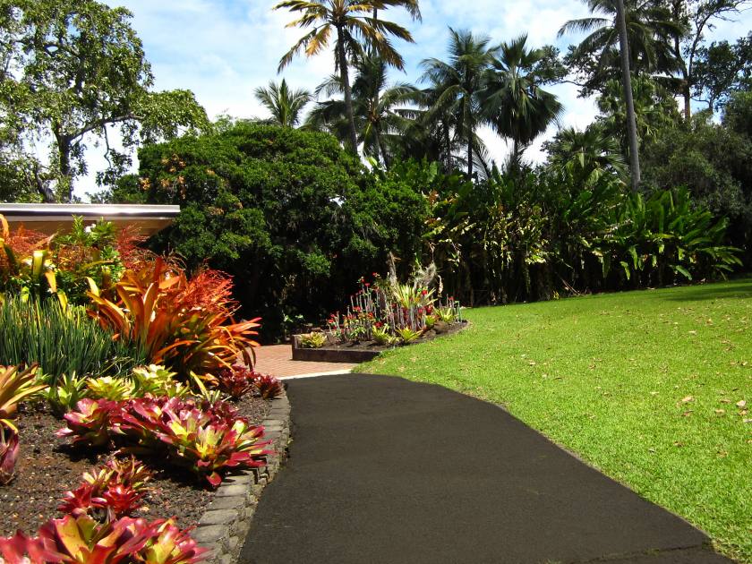 Foster Botanical Gardens, Honolulu, Large Grass area, Walkway, Succulents, Tall Trees, Blue Skies, Puffy Clouds. Trina Isaacs