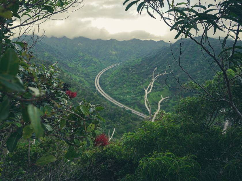 A scenic view of Aiea Loop Trail with Camilla, Oahu, Hawaii near H3 freeway