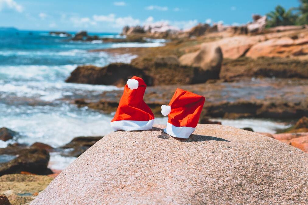 Oahu Christmas Events 2024 Lacee