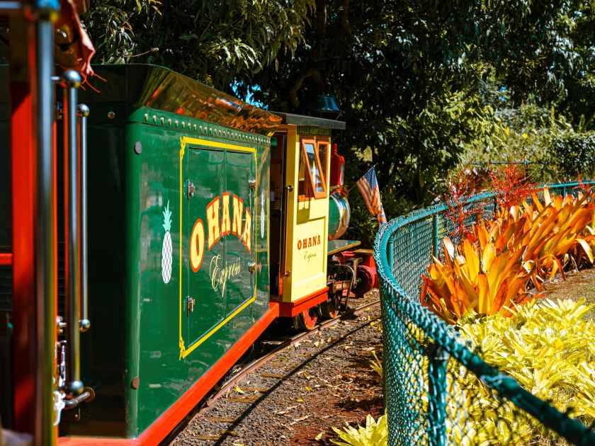 Oahu Hawaii Pineapple Express at the dole plantation