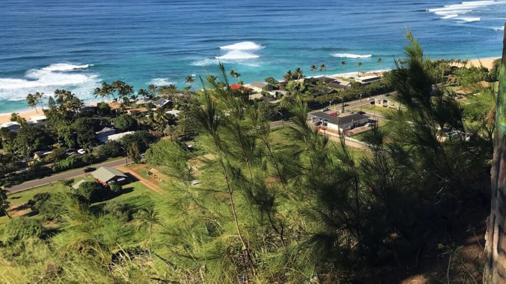 The beautiful view from Ehukai Pillboxes Hike