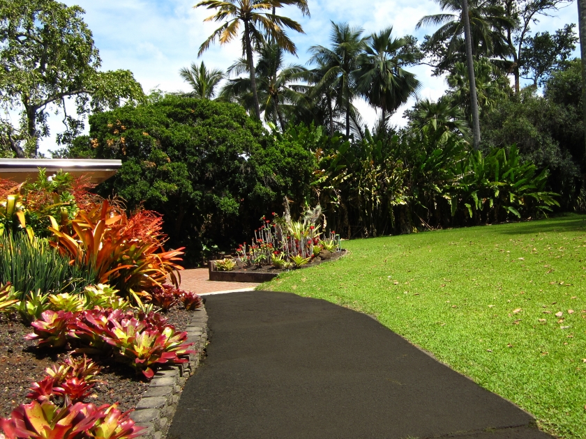 Foster Botanical Gardens, Honolulu, Large Grass area, Walkway, Succulents, Tall Trees, Blue Skies, Puffy Clouds. Trina Isaacs