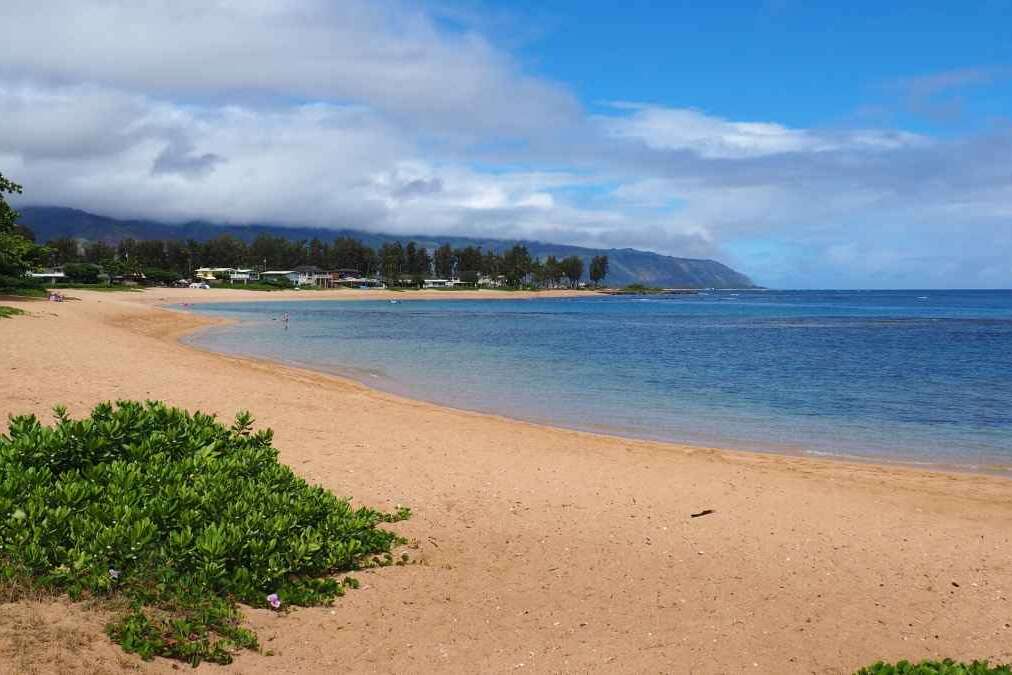 Haleiwa beach oahu