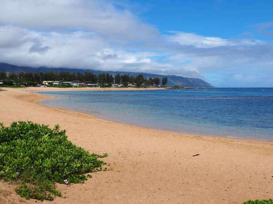 Haleiwa beach oahu