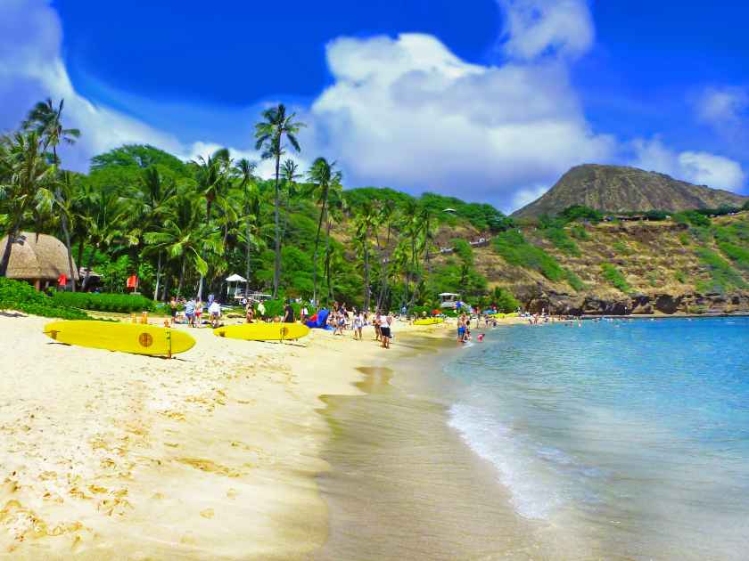 Beautiful exotic beach in Oahu, Hawaii - Hanauma bay - the view on the lifeguard house, palm trees and plants, mountains and yellow surf boards on the white sandy beach