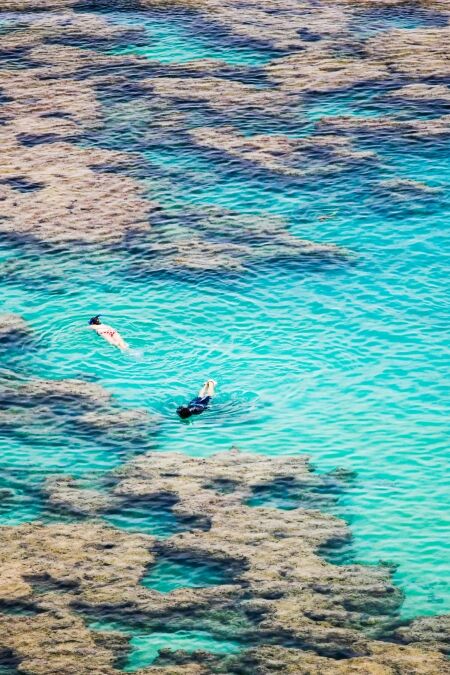 Snorkelling among coral reef in Hanauma Bay, Oahu, Hawaii