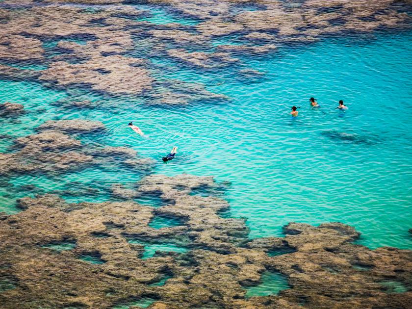 Snorkelling among coral reef in Hanauma Bay, Oahu, Hawaii