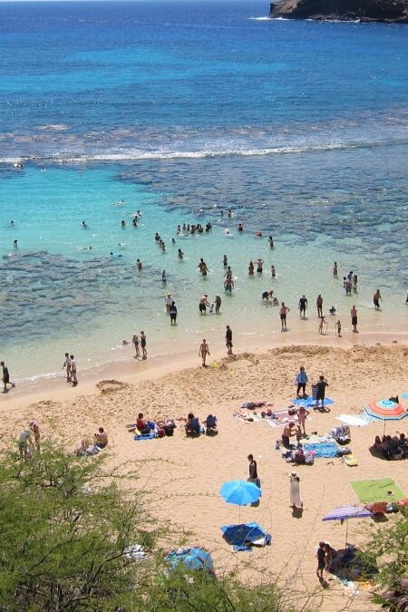 Hanauma Bay crater beach and coral reef, a popular tourist destination. Of volcanic origin, it is located at Hawaii, Oahu. People sunbathing, snorkeling and swimming. Blue sky, turquoise sea.