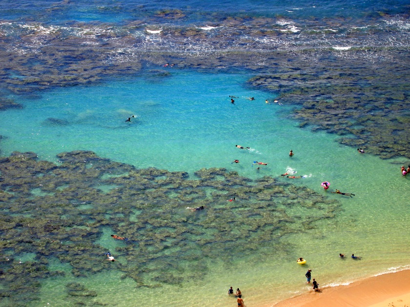 Snorkelers and Families swimming around the coral at Hanauma Bay, Oahu, Hawaii