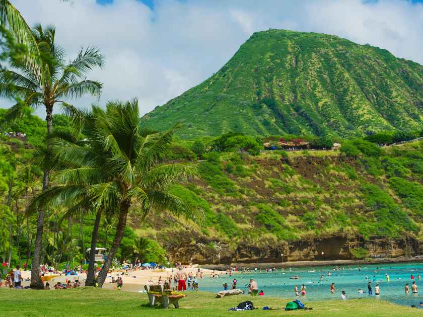 Hanauma Bay beach with palm trees and mountain view