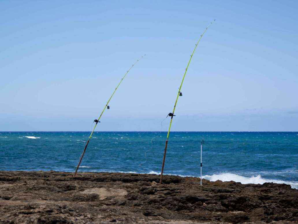 Fishing Pole at Kaena Point State Park