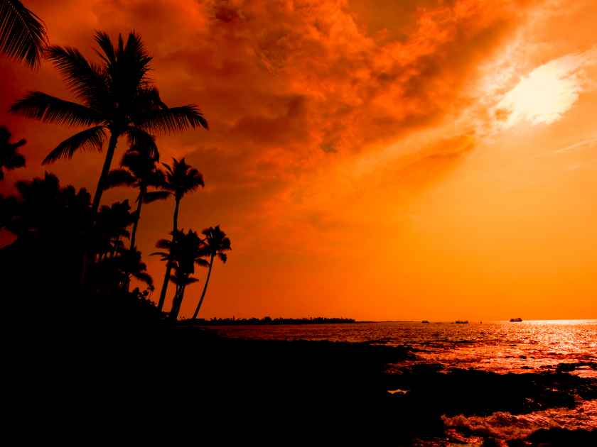 Kona sunset against palm trees on the Big Island Hawaii