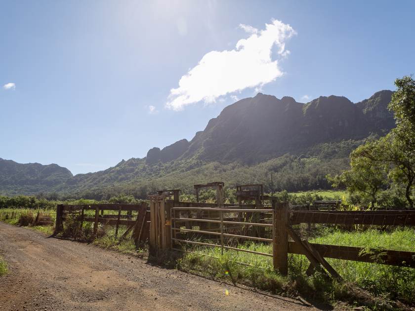 Kipu Ranch Adventures Kauai