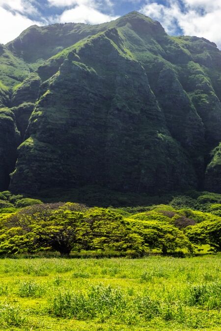 Kualoa mountain range panoramic view, famous filming location on Oahu island, Hawaii