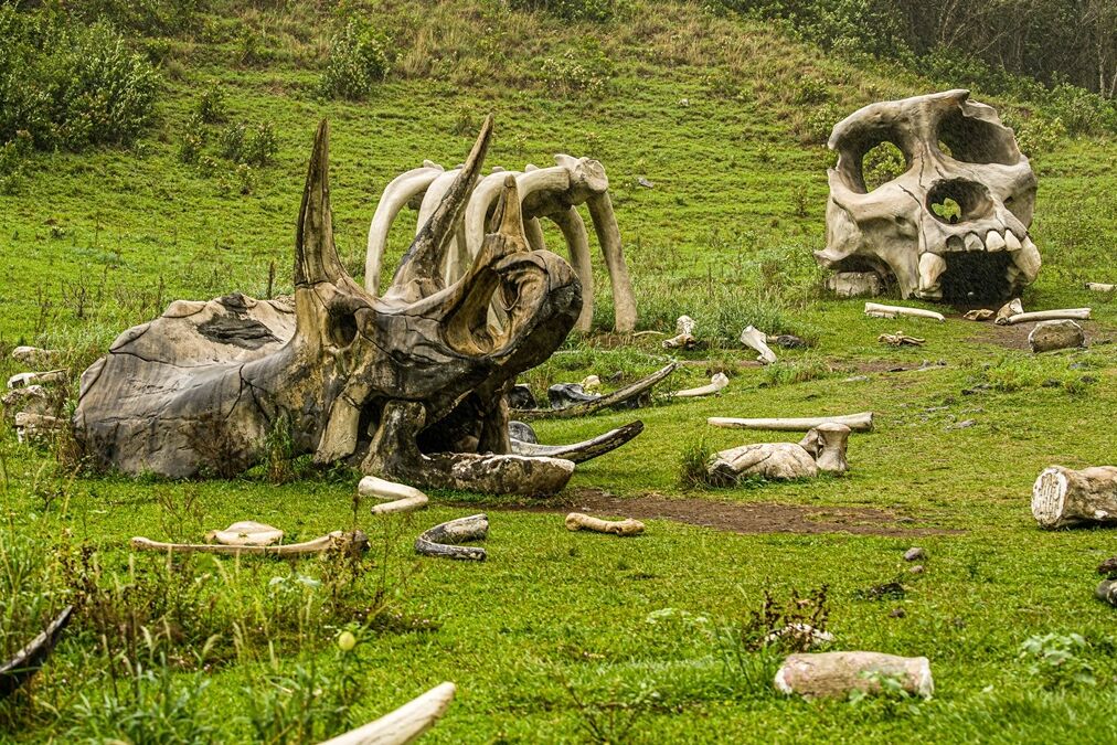 Kongs,Boneyard,At,The,Kualoa,Ranch,Film,Location,,Oahu,,Hawaii,