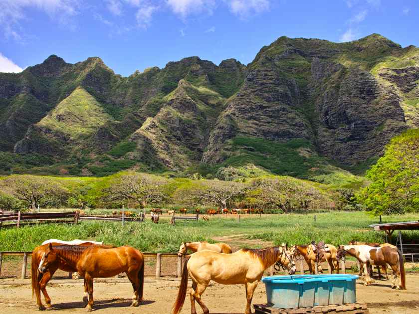 Kualoa Ranch