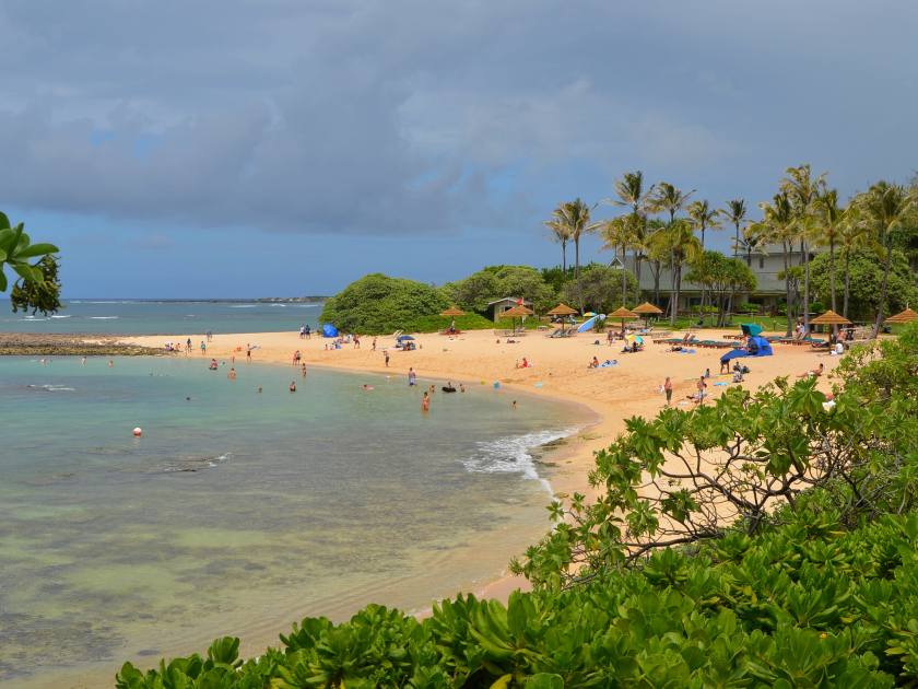 Oahu, Hawaii, beach in the bay Kuilima Cove, Tropical sandy beach, palm trees, azure sea