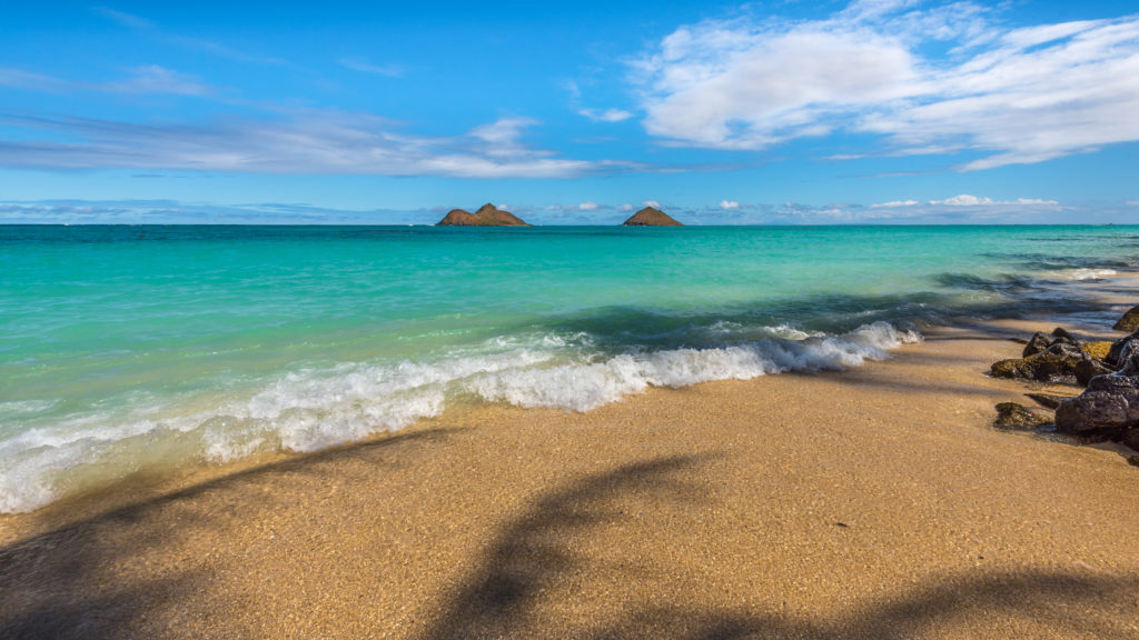 Sail out to the Mokes for a unique snorkel experience