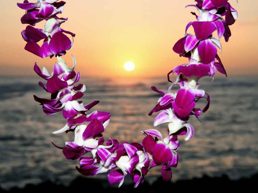 Hawaii Flower Lei - A Circle of Aloha and the Iconic Symbol of
