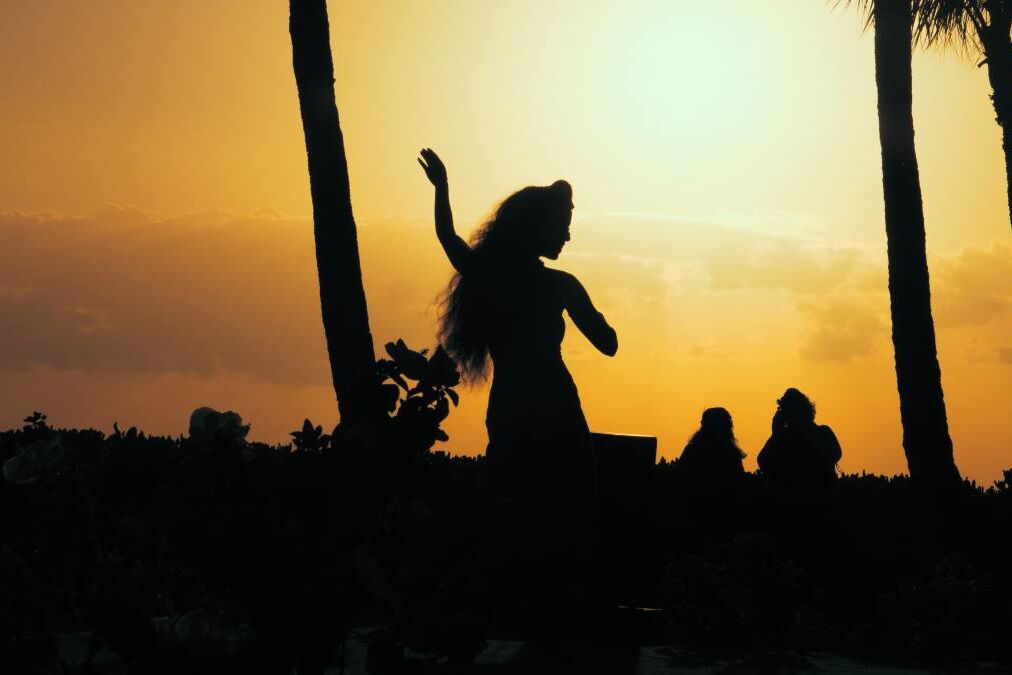 Hawaiian Luau Dancer