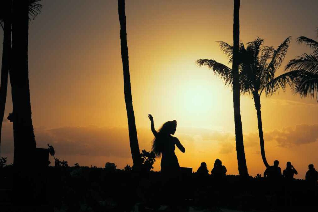 Hawaiian Luau Dancer