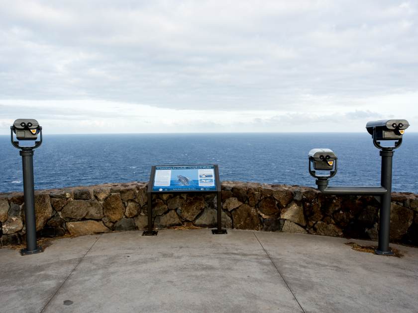 Makapuu Point Lighthouse Trail