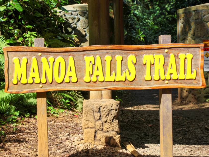 Manoa Falls Trail Hike Oahu Hawaii