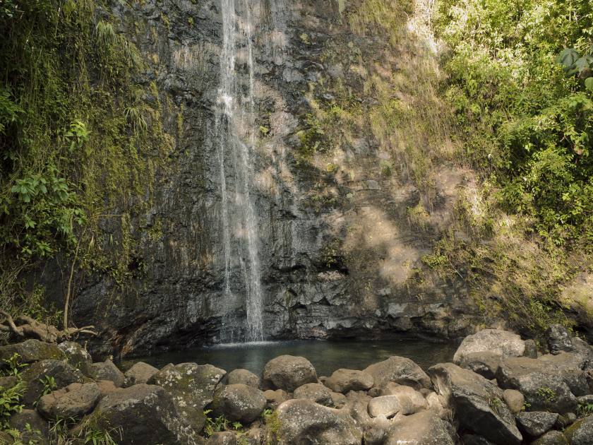 Manoa Falls waterfall emptying into a tiny pond.