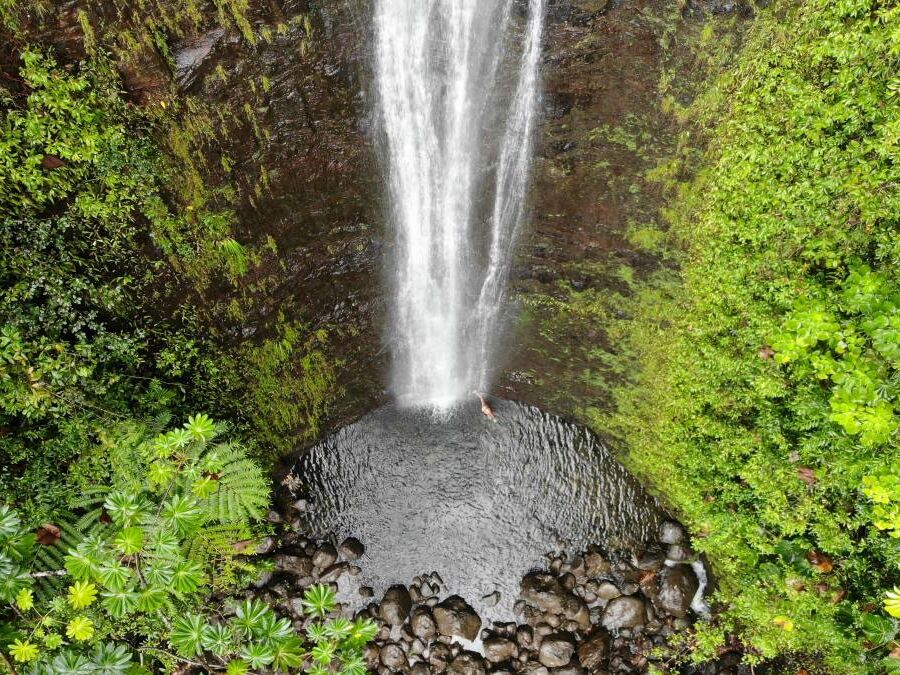 Aerial view of Manoa Falls in Oahu, Hawaii