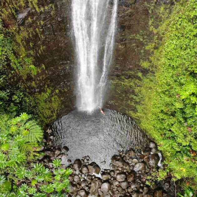 Aerial view of Manoa Falls in Oahu, Hawaii