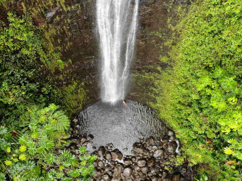 Aerial view of Manoa Falls in Oahu, Hawaii