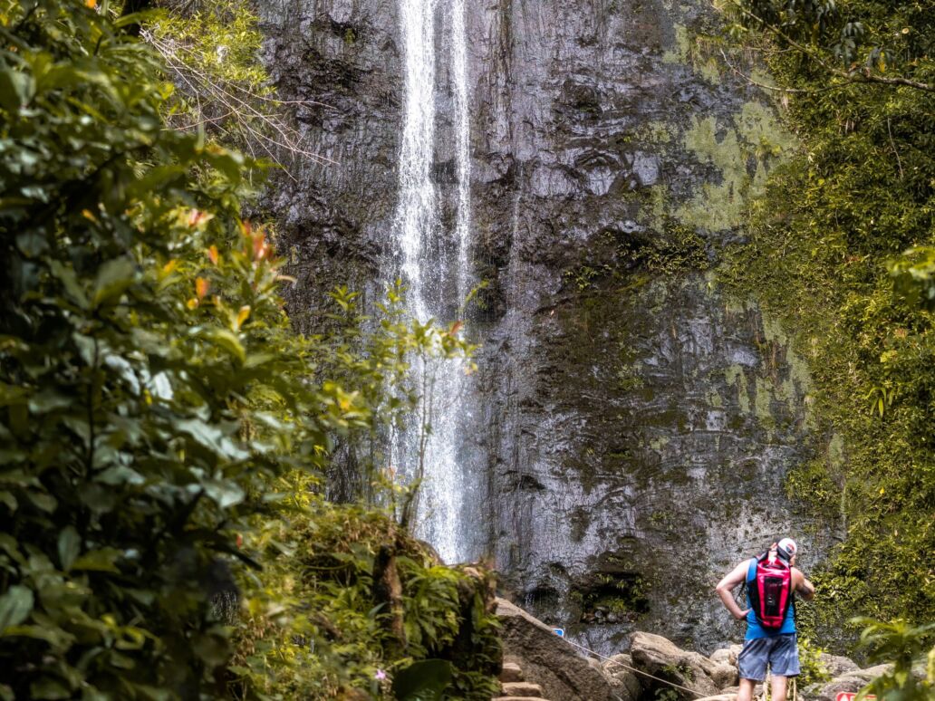 Manoa Falls Trail, Waterfall, Hawaii
