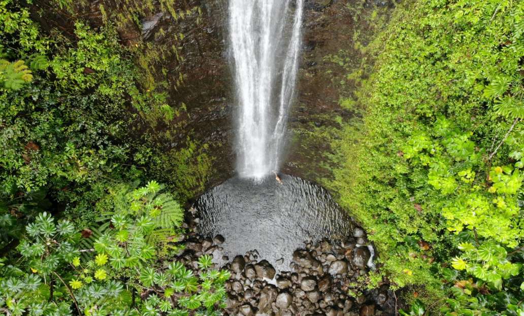 Aerial view of Manoa Falls in Oahu, Hawaii