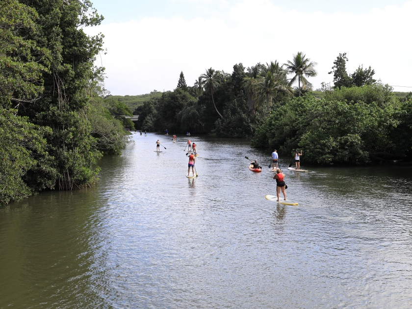 Paddle surfing lesson at Haleiwa Hawaii