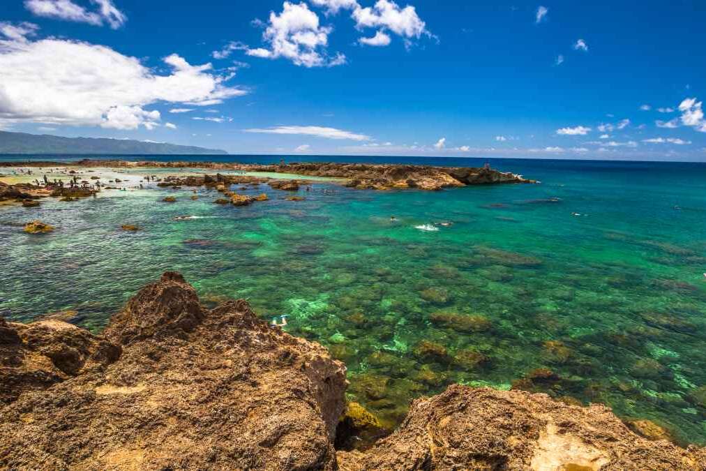 Shark's Cove, one of best scenic stops along the popular North Shore. Sharks Cove is the second best snorkeling site on Oahu, North Shore, and boasts an impressive amount of sea life.