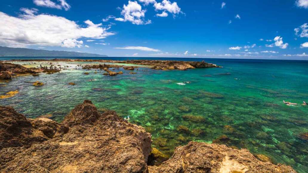 Shark's Cove, one of best scenic stops along the popular North Shore. Sharks Cove is the second best snorkeling site on Oahu, North Shore, and boasts an impressive amount of sea life.