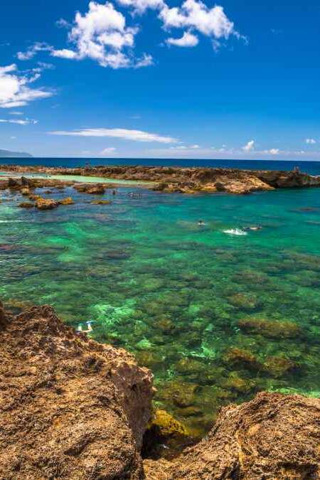 Shark's Cove, one of best scenic stops along the popular North Shore. Sharks Cove is the second best snorkeling site on Oahu, North Shore, and boasts an impressive amount of sea life.