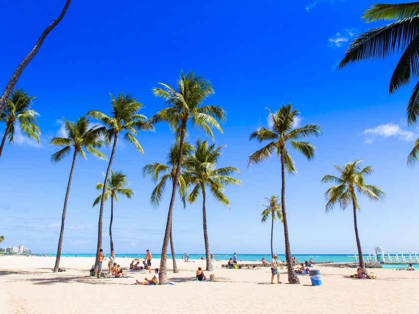Honolulu beach Waikiki Oahu palm trees summer day