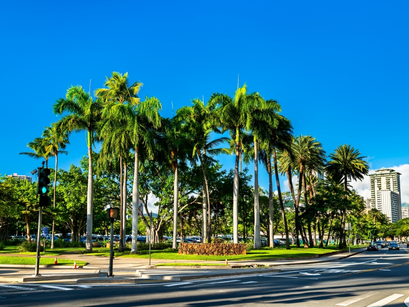 Palm trees at Fort DeRussy Beach Park in Honolulu - Oahu Island, Hawaii