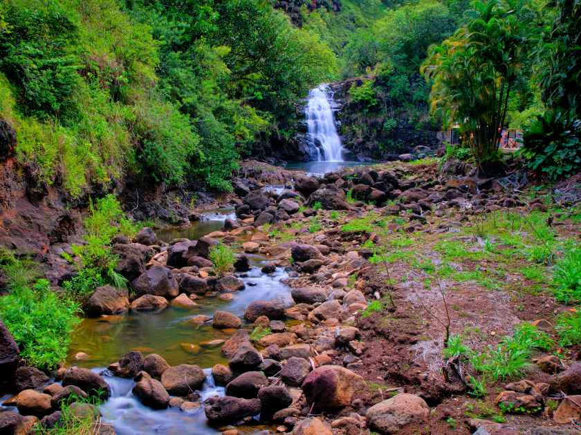 Waimea Valley Park