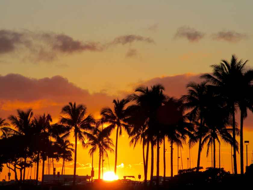 Aloha vibes and breathtaking sunsets - enjoy the laid-back island life at Waikiki Beach.