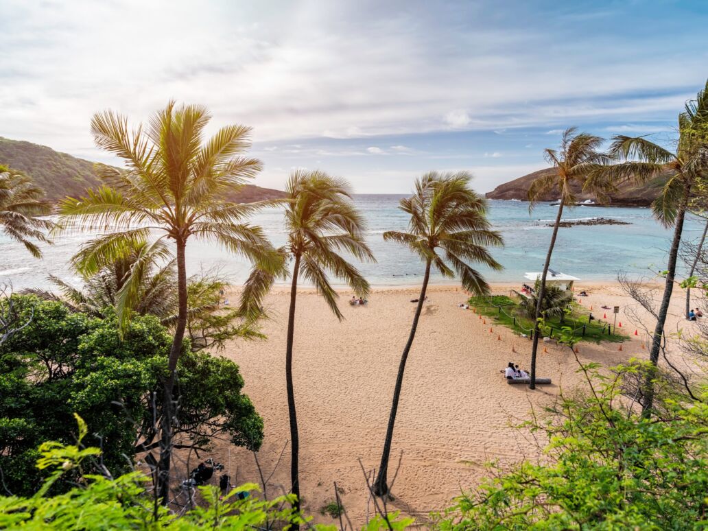 High,Angle,View,Of,Hanauma,Bay,Beach,And,People,Relaxing