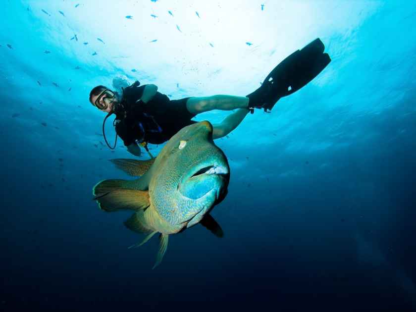 Hawaii_Scuba Diving