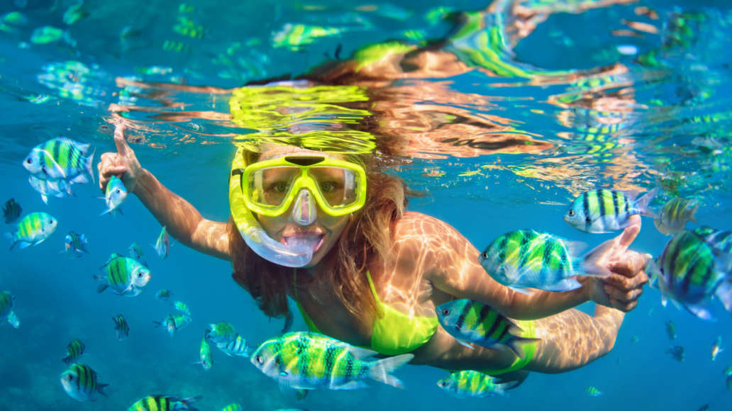 Explore Hawaii's underwater world on a snorkel tour