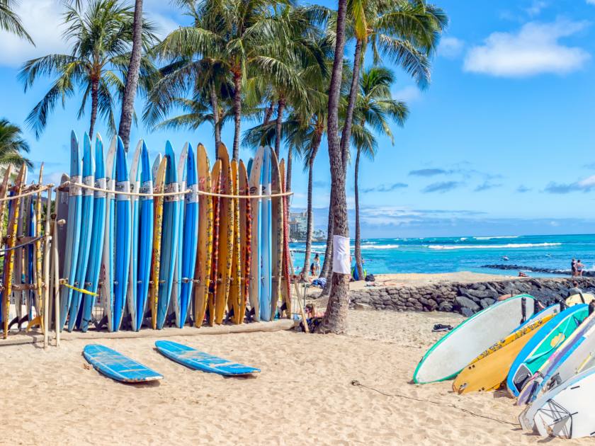 Vertical surfboards on the sandy beach in Waikiki with palm trees standing behind. A beautiful blue sky background.