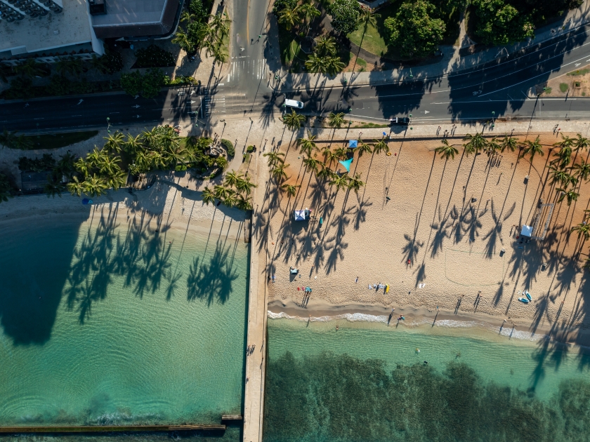 aerial shot of Waikiki beach with palm trees shadows in the morning sun